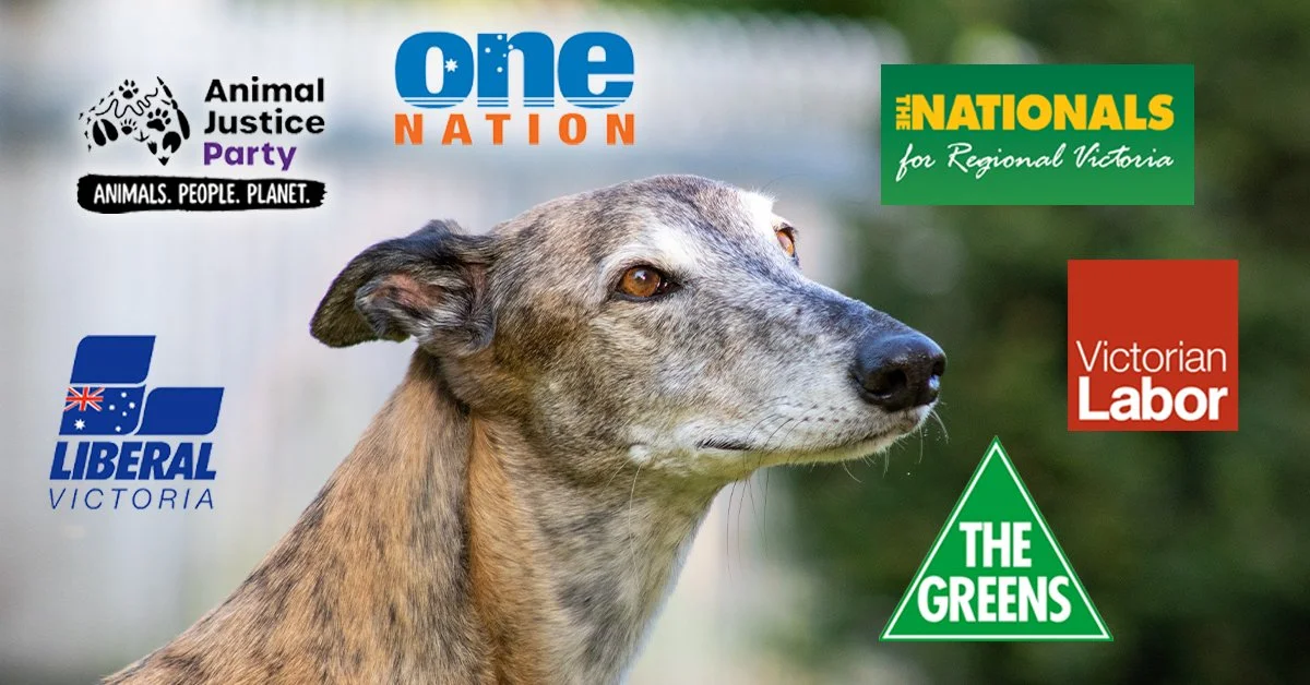Six animal reforms that matter this Victorian election