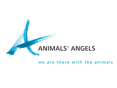 Animals Angels