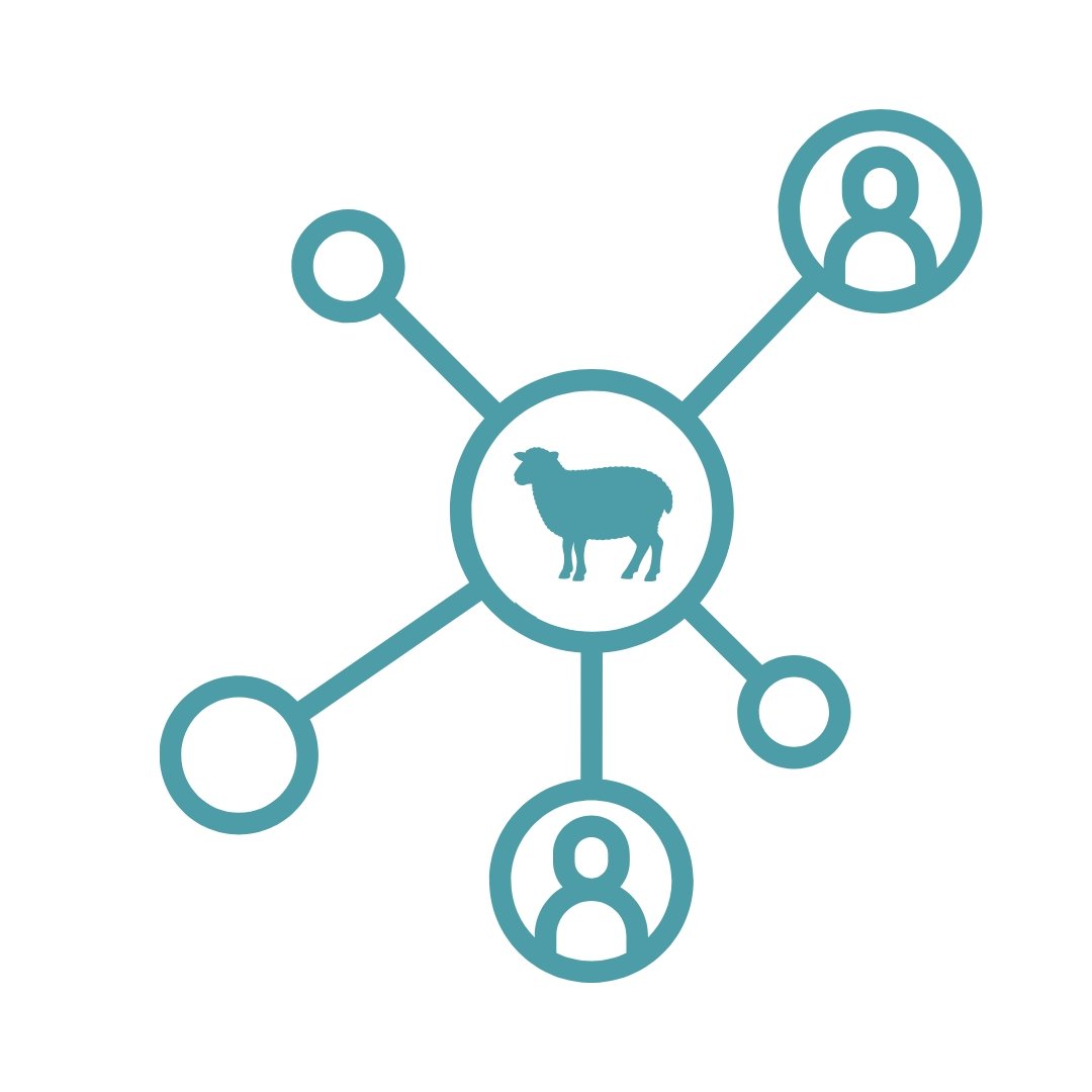 Illustration of a network diagram with a sheep icon in the center connected to icons of three people and three circles.