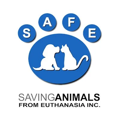 Logo with the letters S, A, F, E in blue circles above a circle containing a silhouette of a dog and cat, with text reading 'SAVING ANIMALS FROM EUTHANASIA INC.' in black.