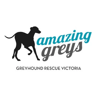 Logo for Amazing Greys Greyhound Rescue Vic.