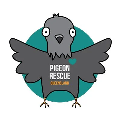 Cartoon illustration of a pigeon with outstretched wings, a small heart on its chest, and text reading 'Pigeon Rescue Queensland' beneath it.