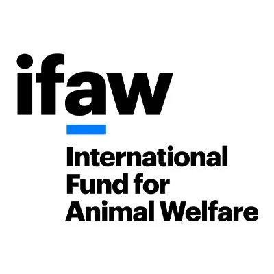 Logo of the International Fund for Animal Welfare (IFAW) with the text 'ifaw' in large black letters, a blue underline, and the words 'International Fund for Animal Welfare' below in smaller black text.