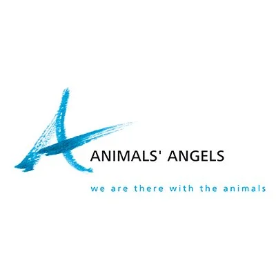Logo of Animals' Angels with a large blue stylized 'A' and the text 'ANIMALS' ANGELS' and 'we are there with the animals'.