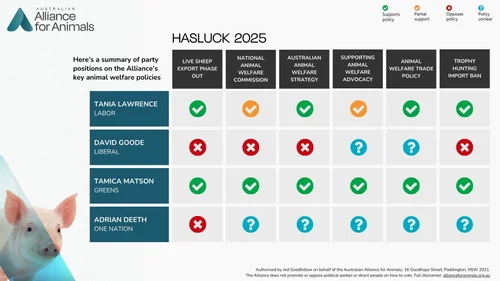 Where do the candidates in Hasluck stand on animal welfare ...