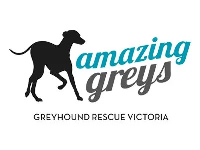 Amazing Greys Greyhound Rescue Victoria