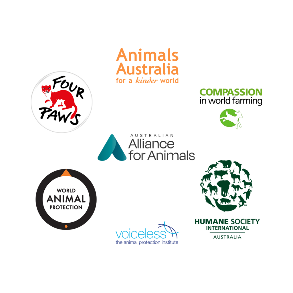 The Alliance for Animals logo, surrounded by our core member's logos: Animals Australia, Compassion in world farming, Humane Society International Australia, Voiceless, the animal protection institute, World Animal Protection, and FOUR PAWs.