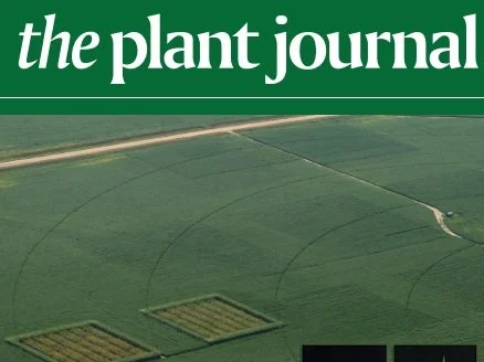 plant+journal.jpg