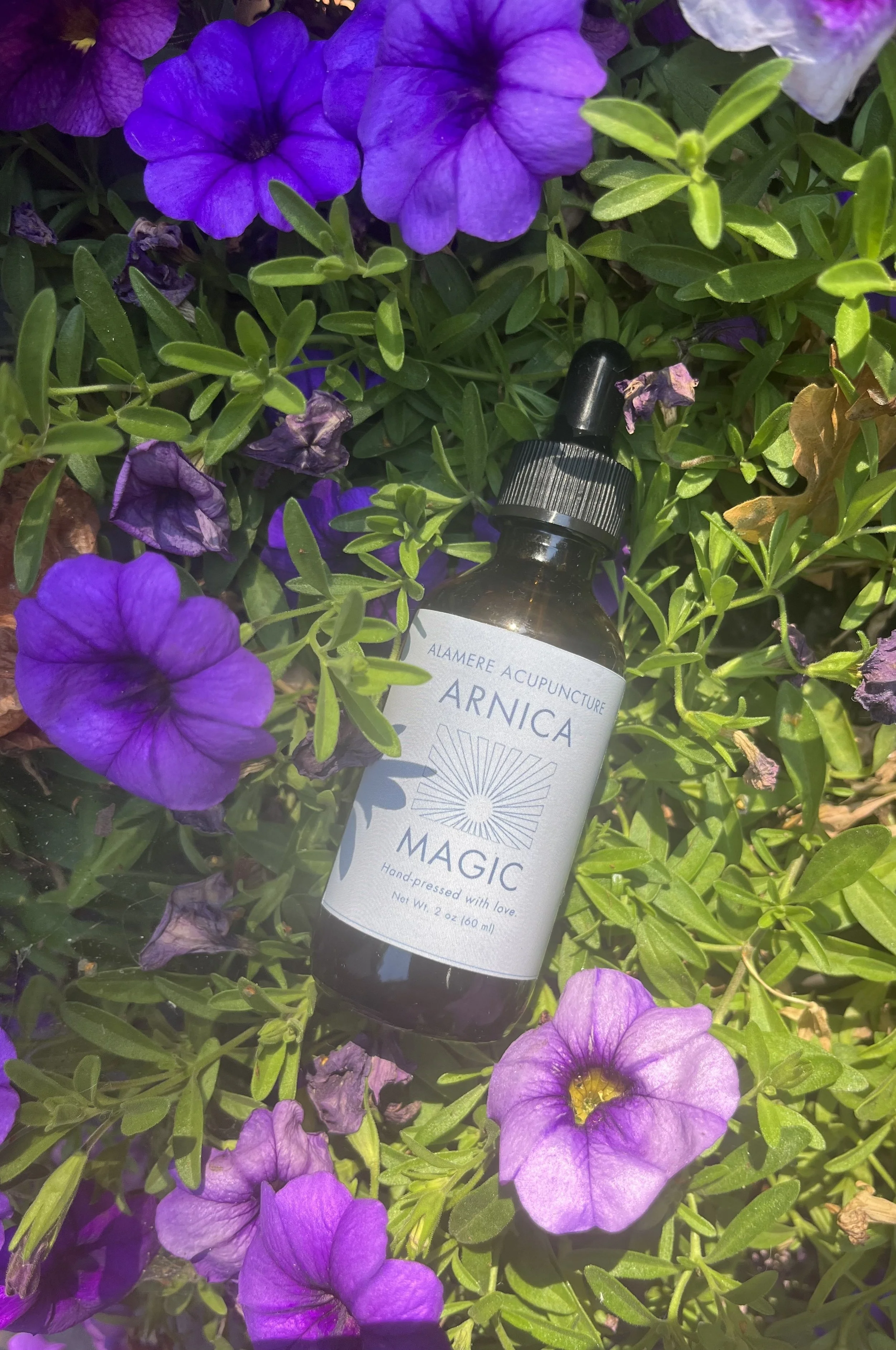 Order Your Arnica Magic Today!