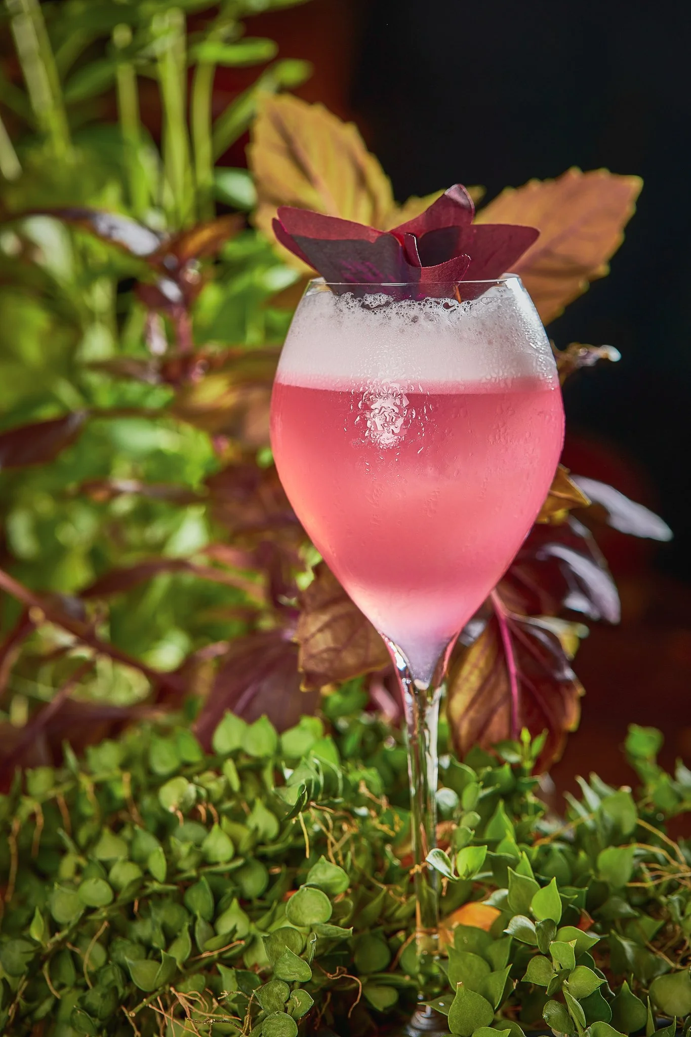 Y19 - Feb 2022-205.jpeg