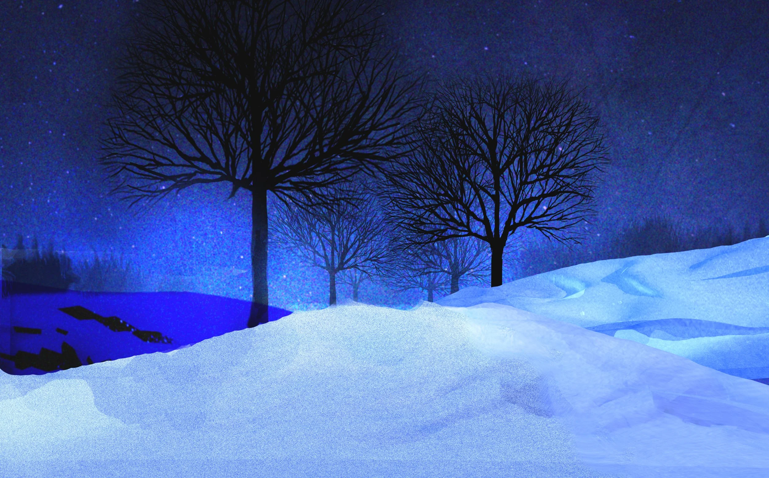 Winter Night.jpg