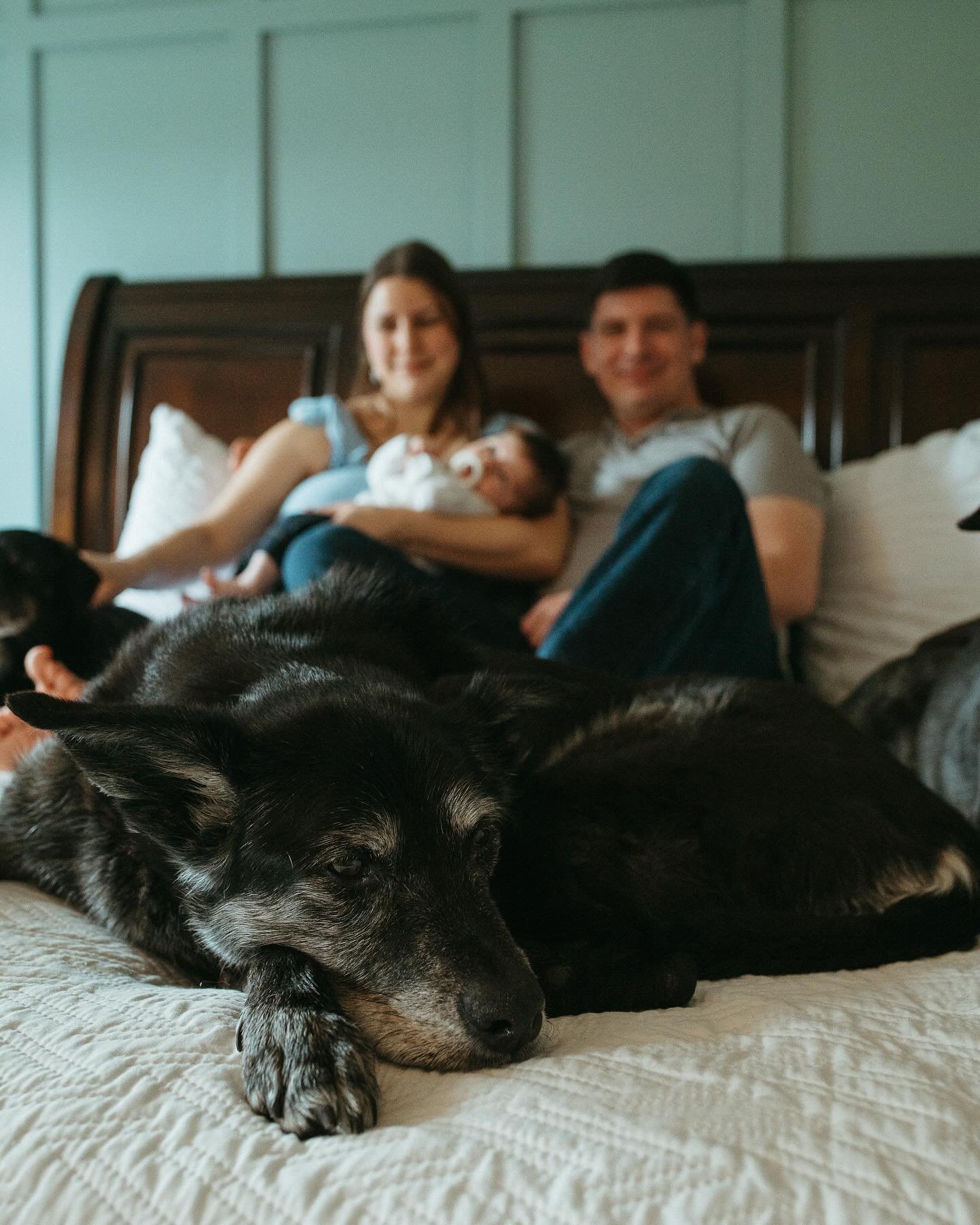 A cozy rainy-day newborn session

This family&rsquo;s senior dogs pulled at my heart strings!

#newbornphotography #lifestylephotography #lifestylenewbornphotography #inhomenewbornsession
