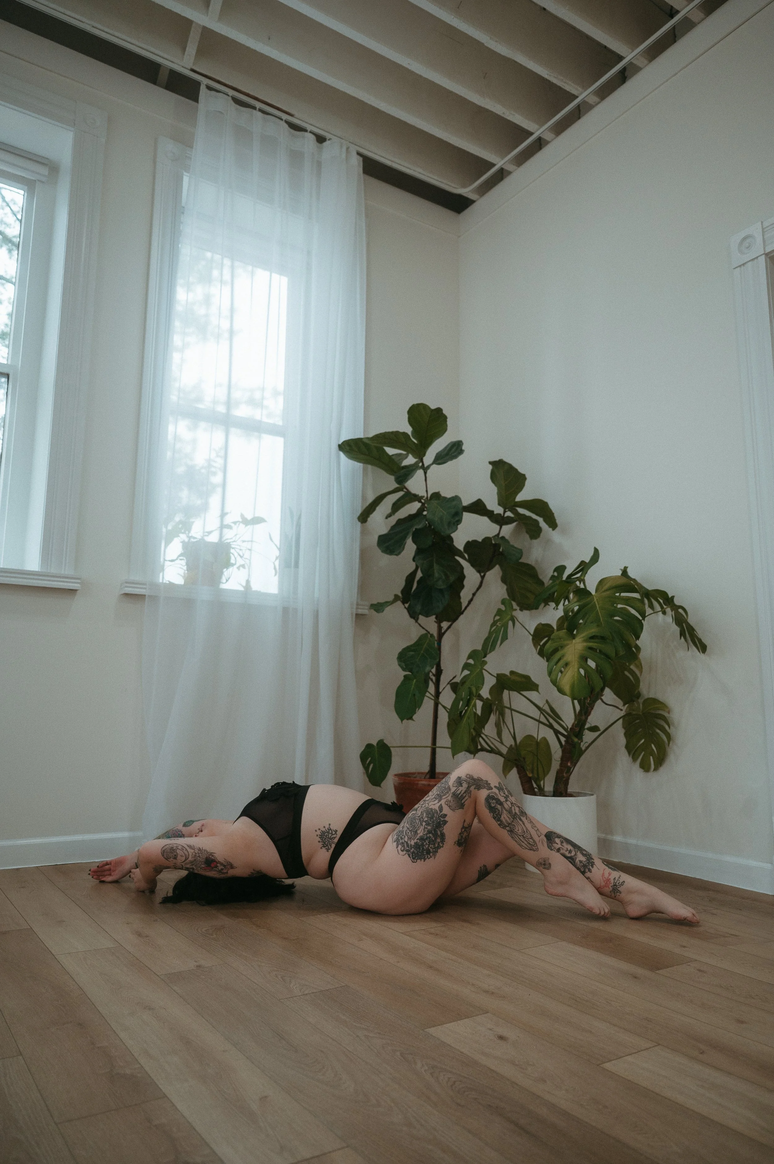 A boudoir photo of a woman with tattoos wearing a black bra and underwear, lying on the wooden floor with her back arched and hands above her head. She's next to a large potted plant, in a bright room with white walls and sheer curtains.