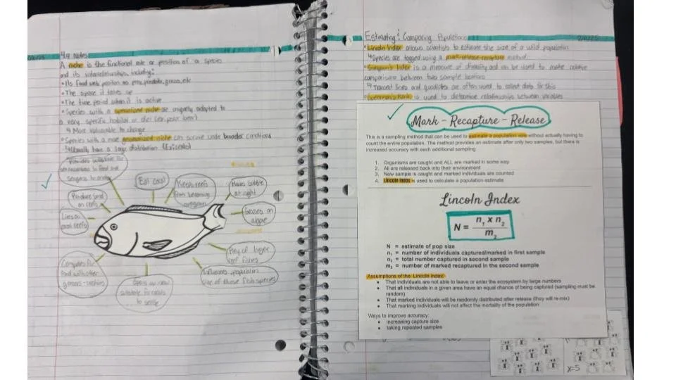 Notebook Pages  (4).jpg