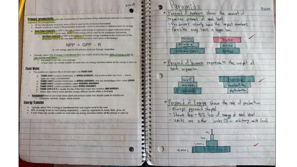 Notebook Pages  (8).jpg