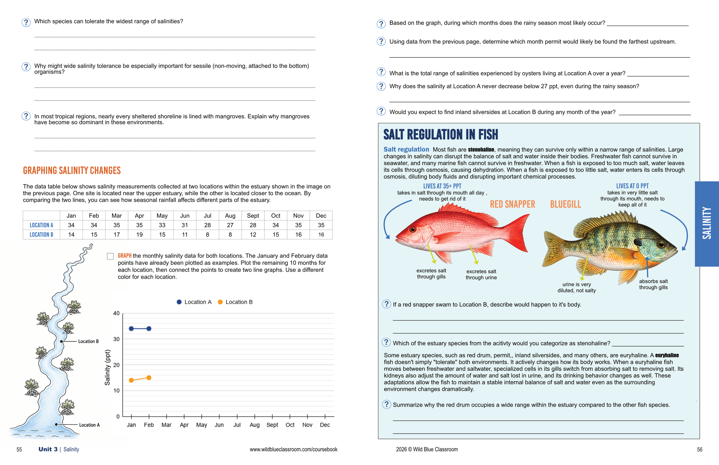 Unit 3 Salinity.png