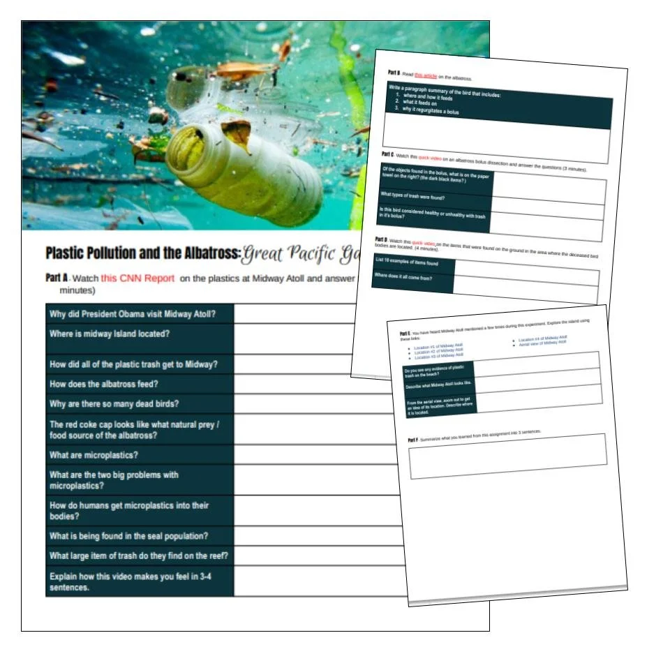 Covers - Open Ocean.jpg