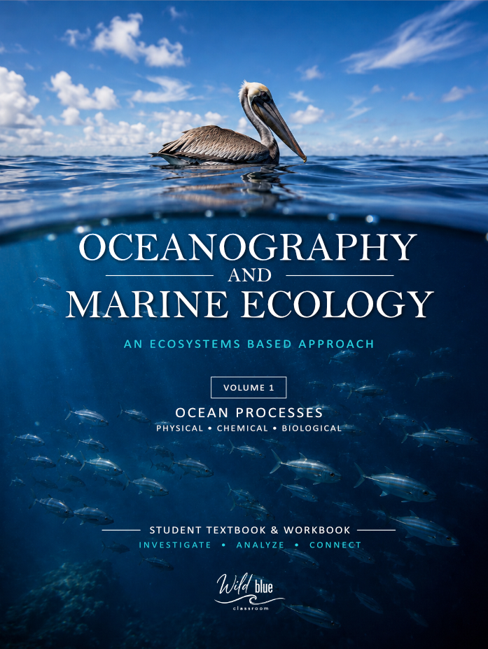 Ocean Volume 1 - Cover Thumbnail.png