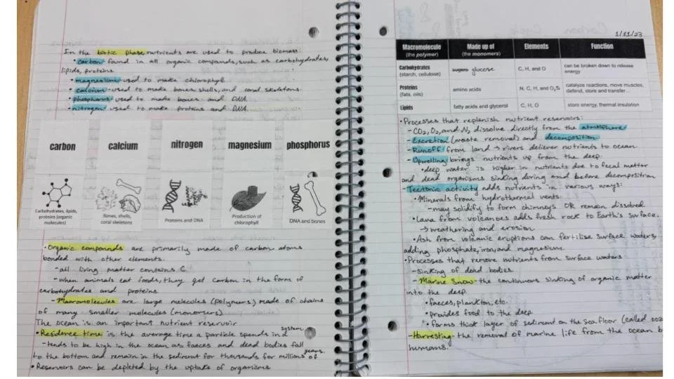 Notebook Pages  (3).jpg