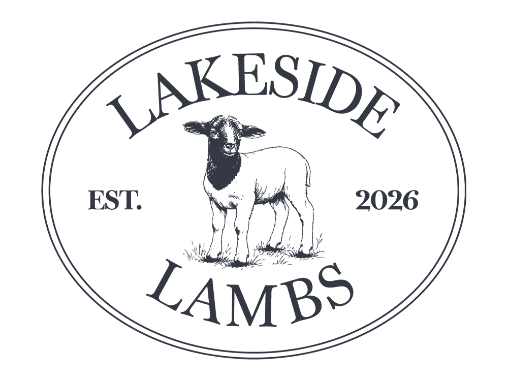 lakeside-lambs.png