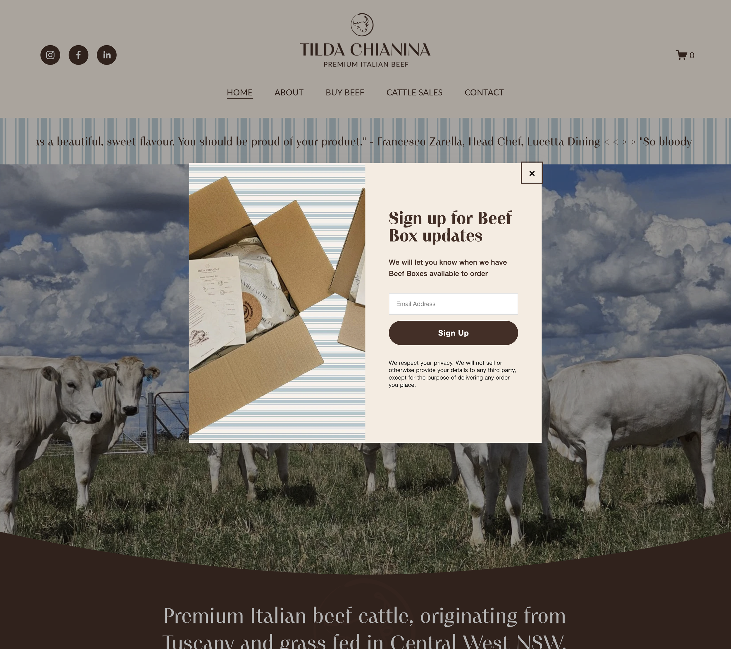 tilda.png