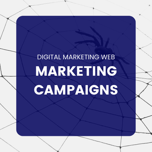 Marketing Campaigns