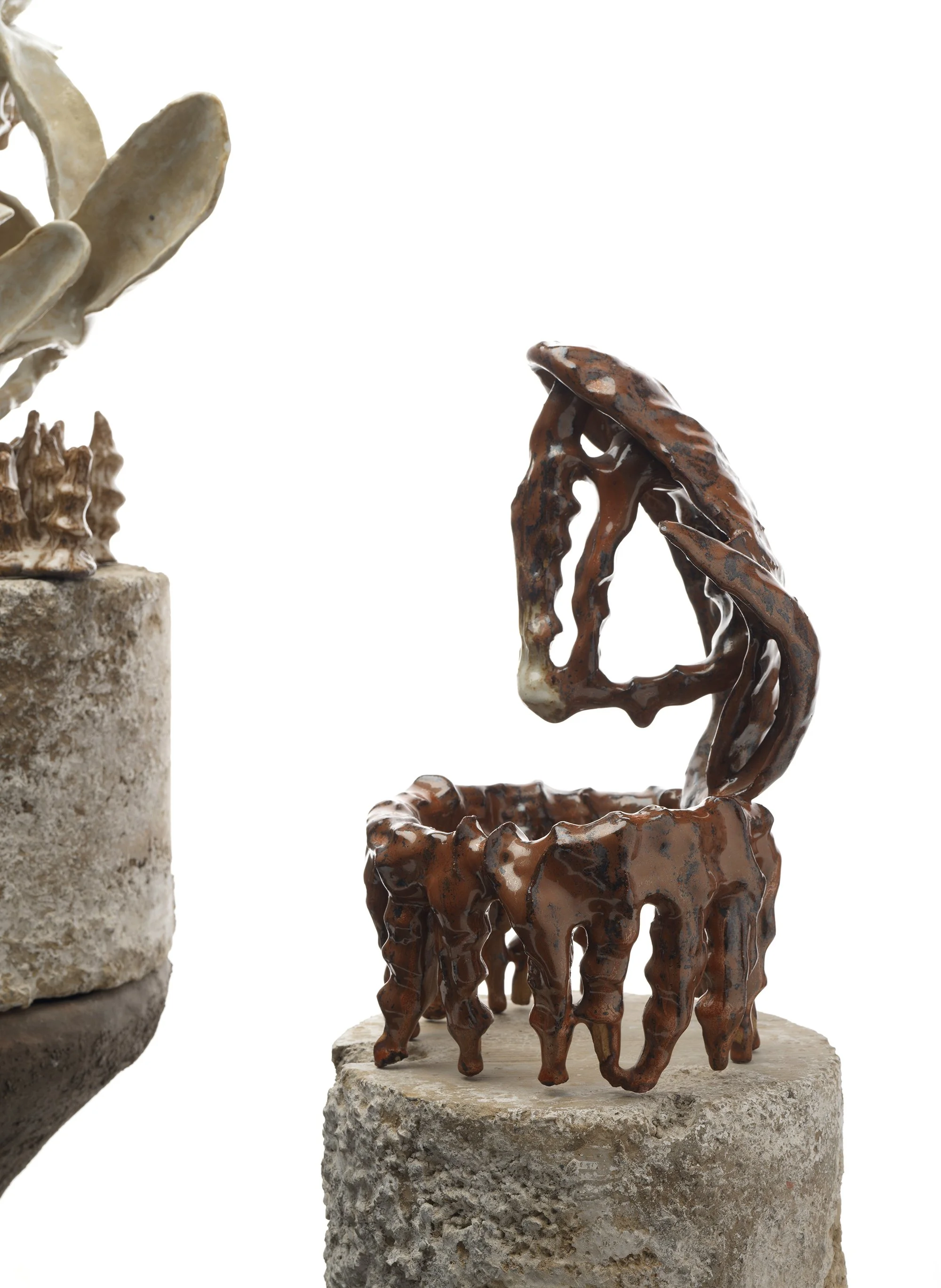 Photo credit Sylvain Deleu