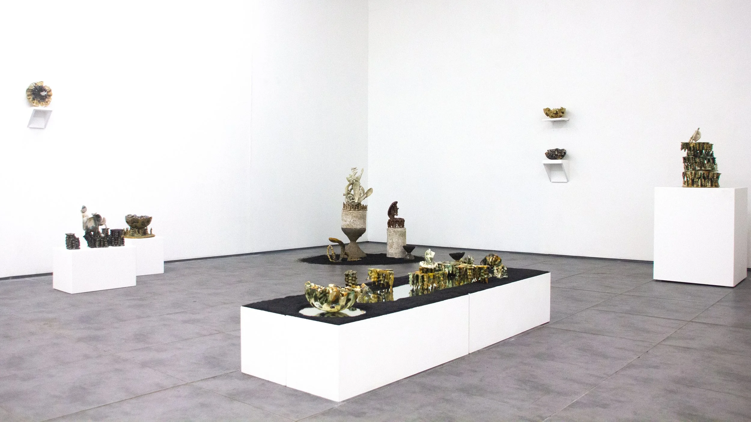 dearly impossible new website .jpg