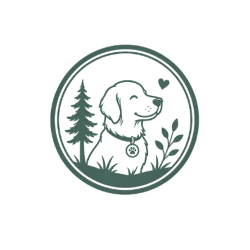 Hybrid Programs