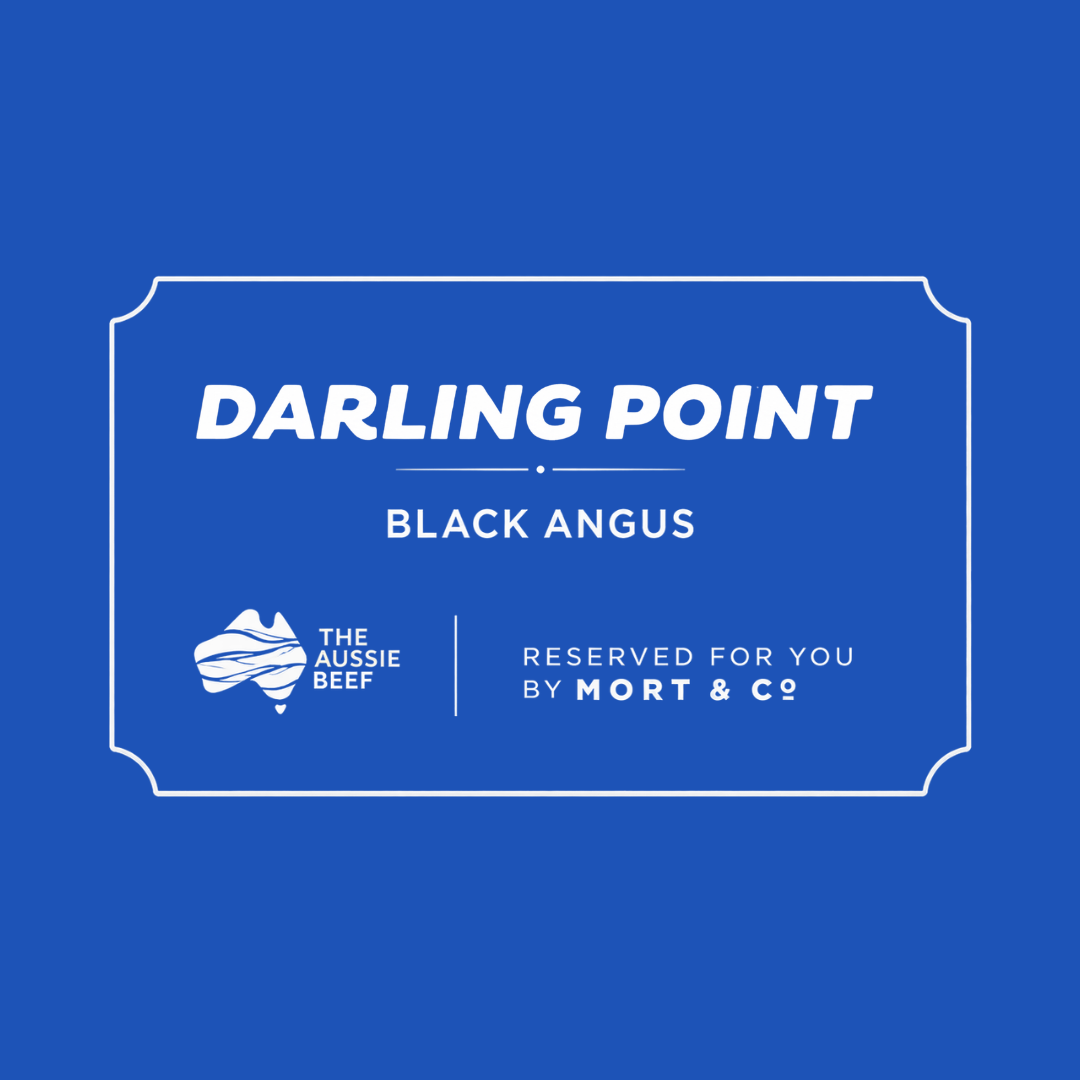 Darling Point Angus
