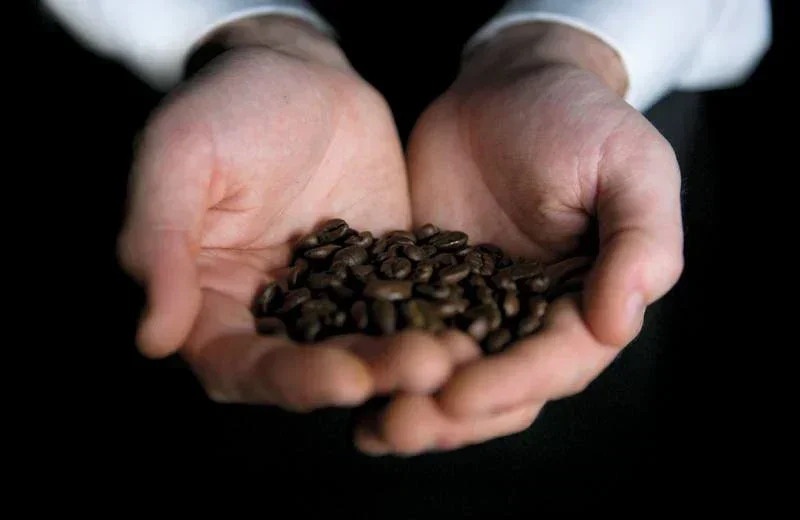 how-to-store-coffee-beans-so-they-stay-fresh_94c51018-4a67-47de-aea1-3dd60b9a74b6_1650x.webp