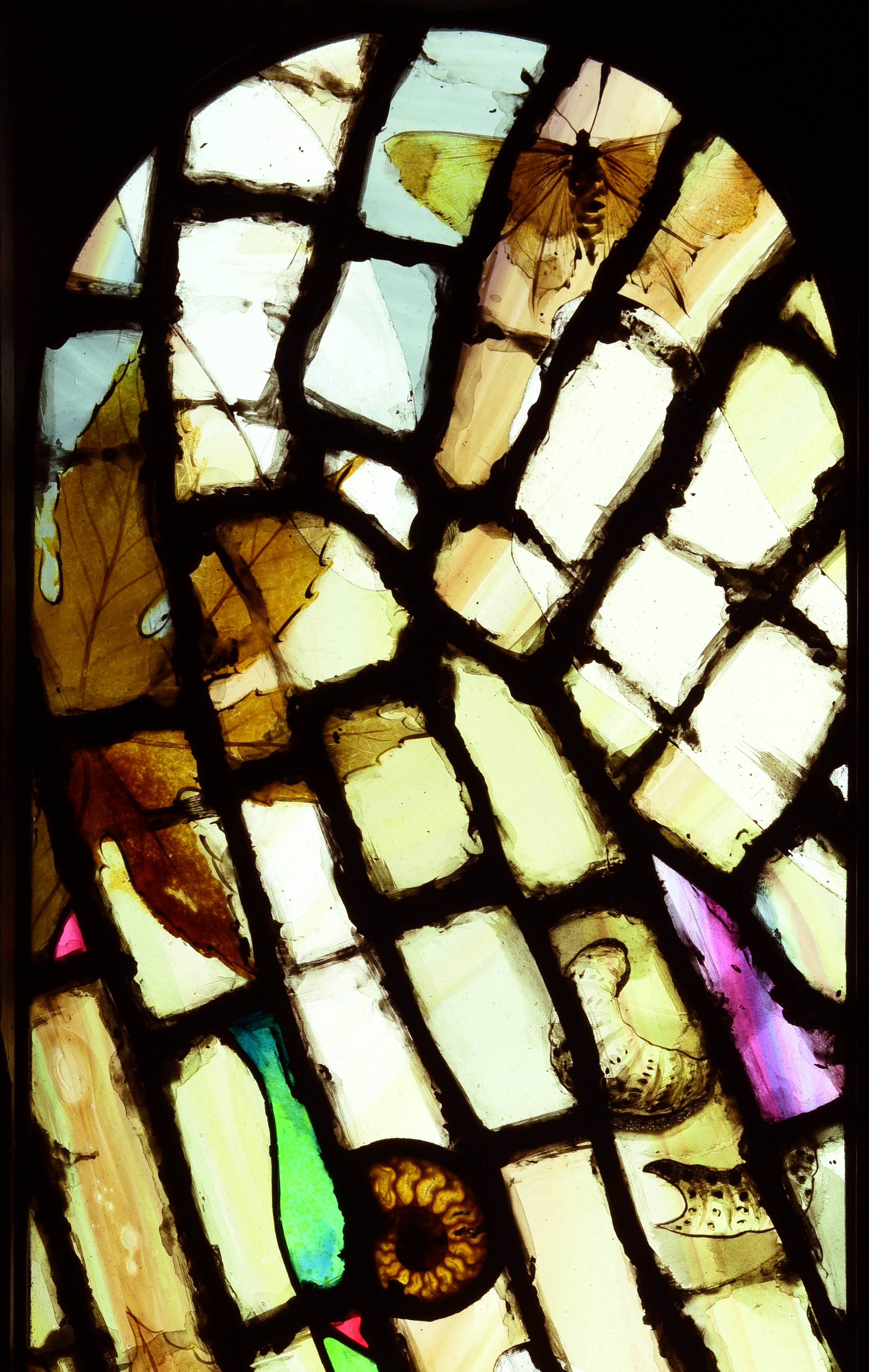 Close Up of Godmersham Window