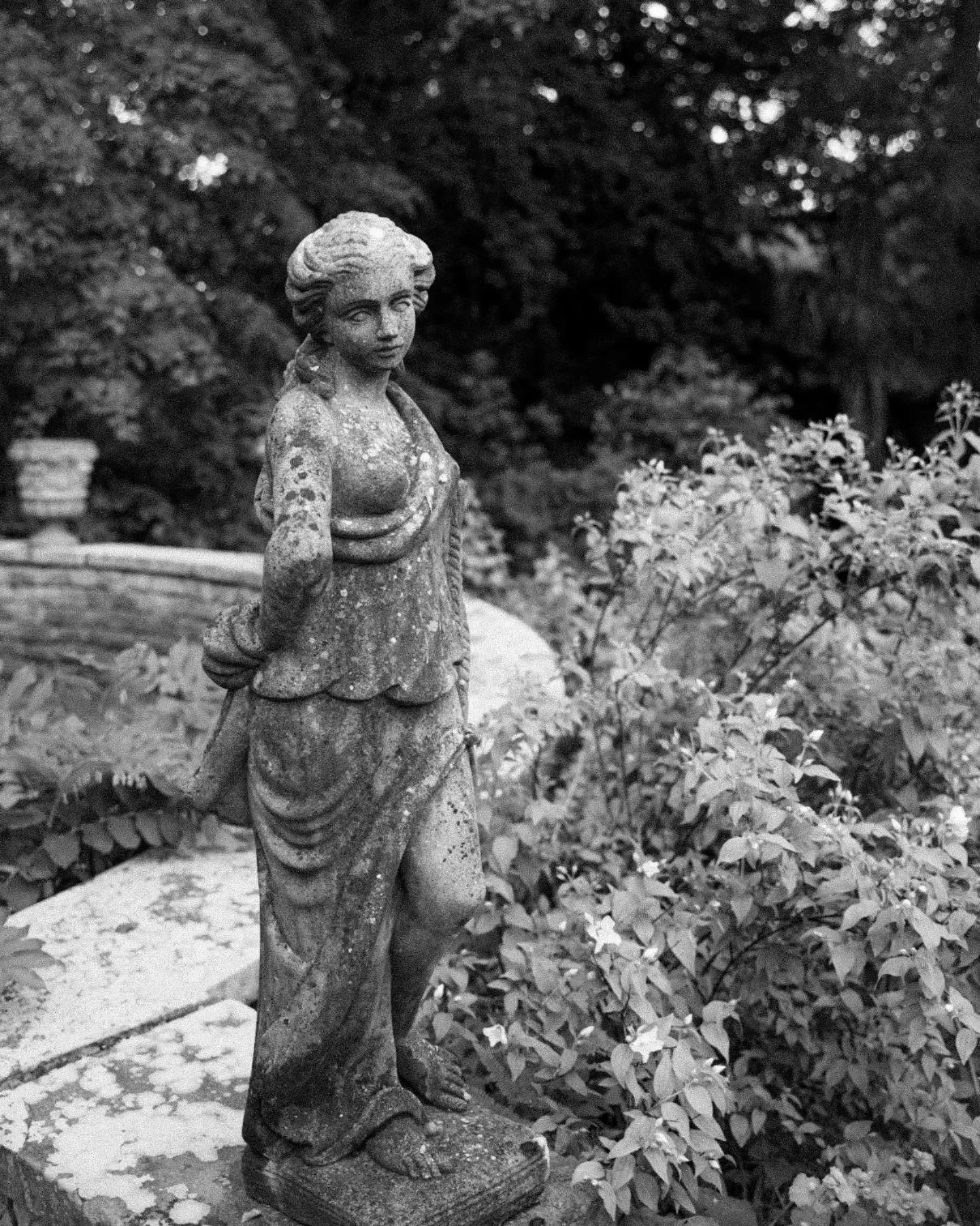 The statues at Belvoir Castle giving me secret gardens vibes.