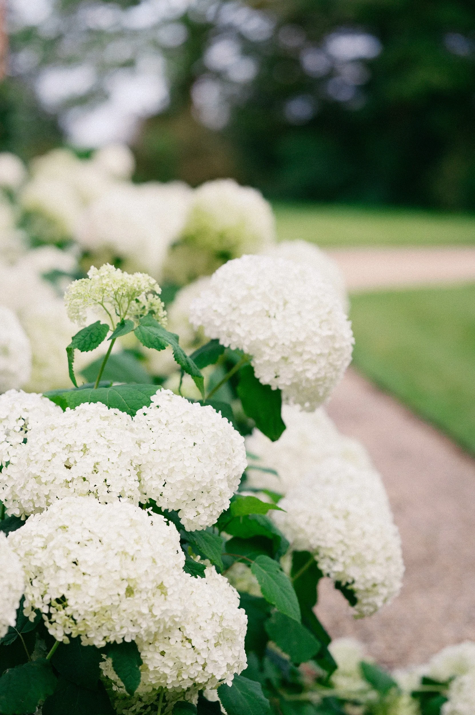 BARCELONA WEDDING-26.jpg