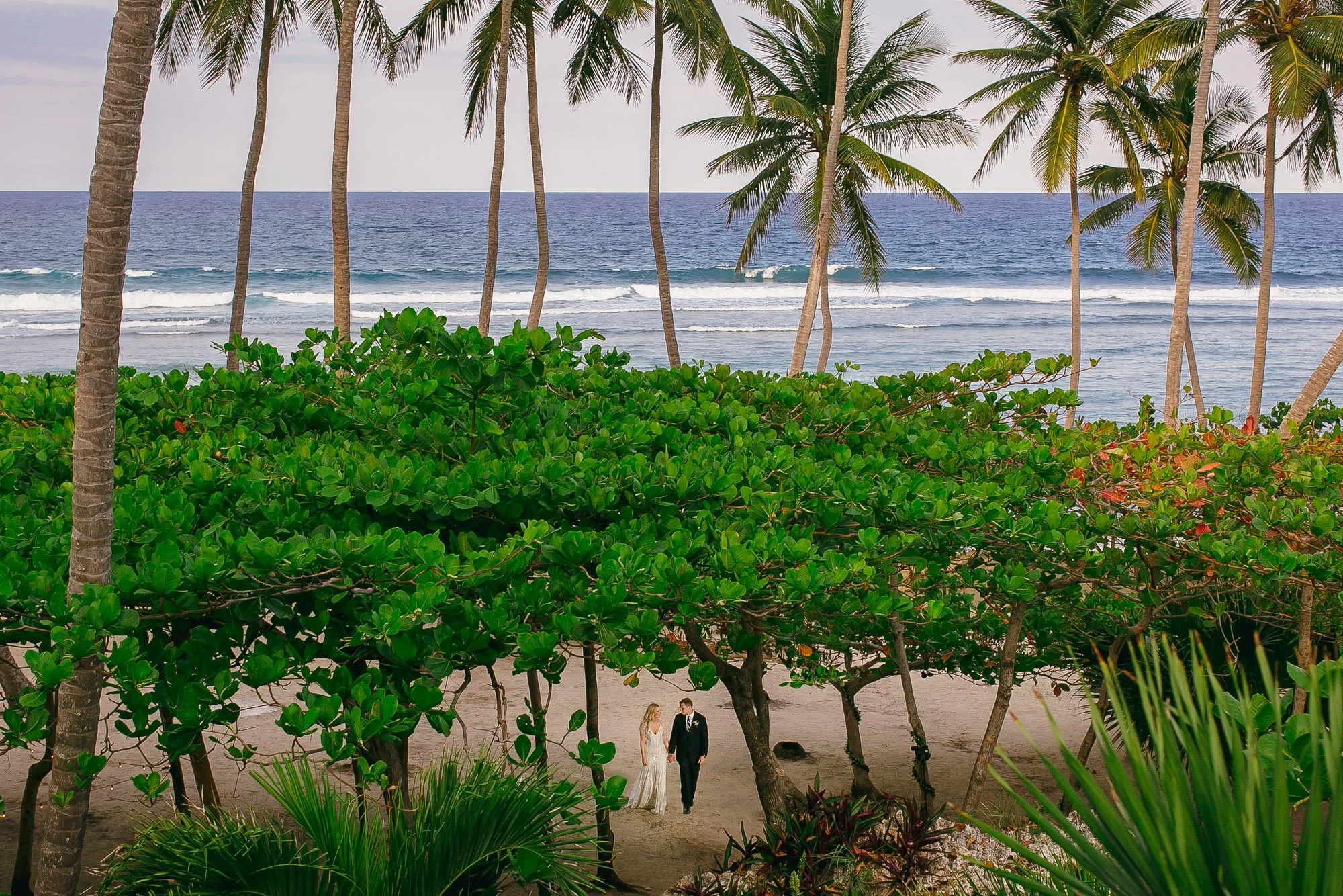 Dominican Republic Wedding Photography — Caroline's Collective