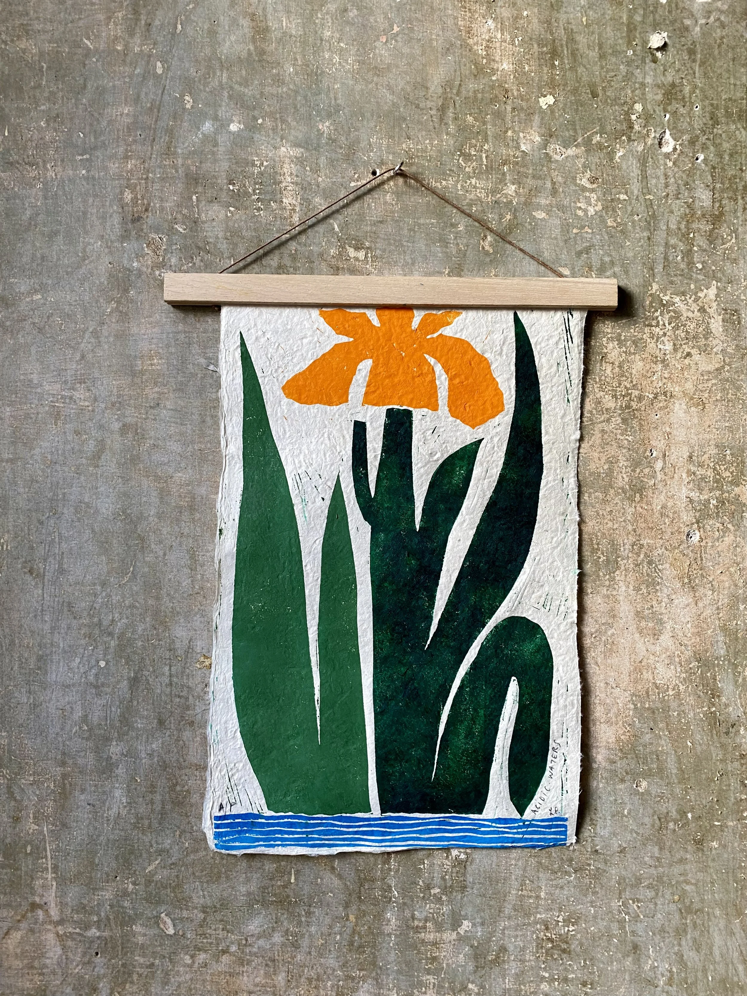 Ludovica Perosin-iris.jpg