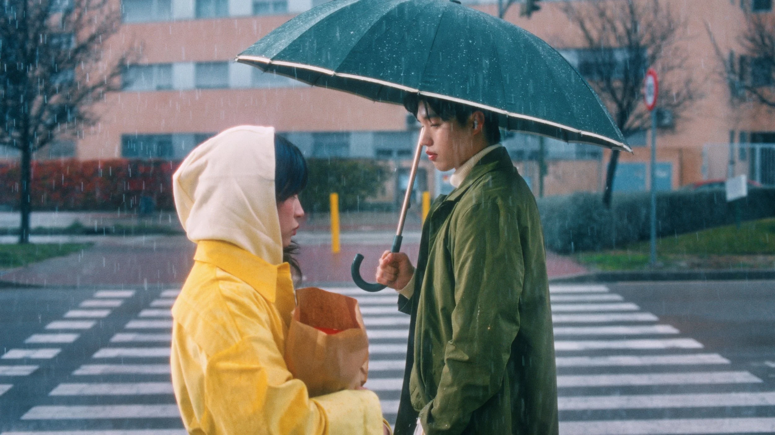 Still 2026-02-25 100245_1.7.1.jpg