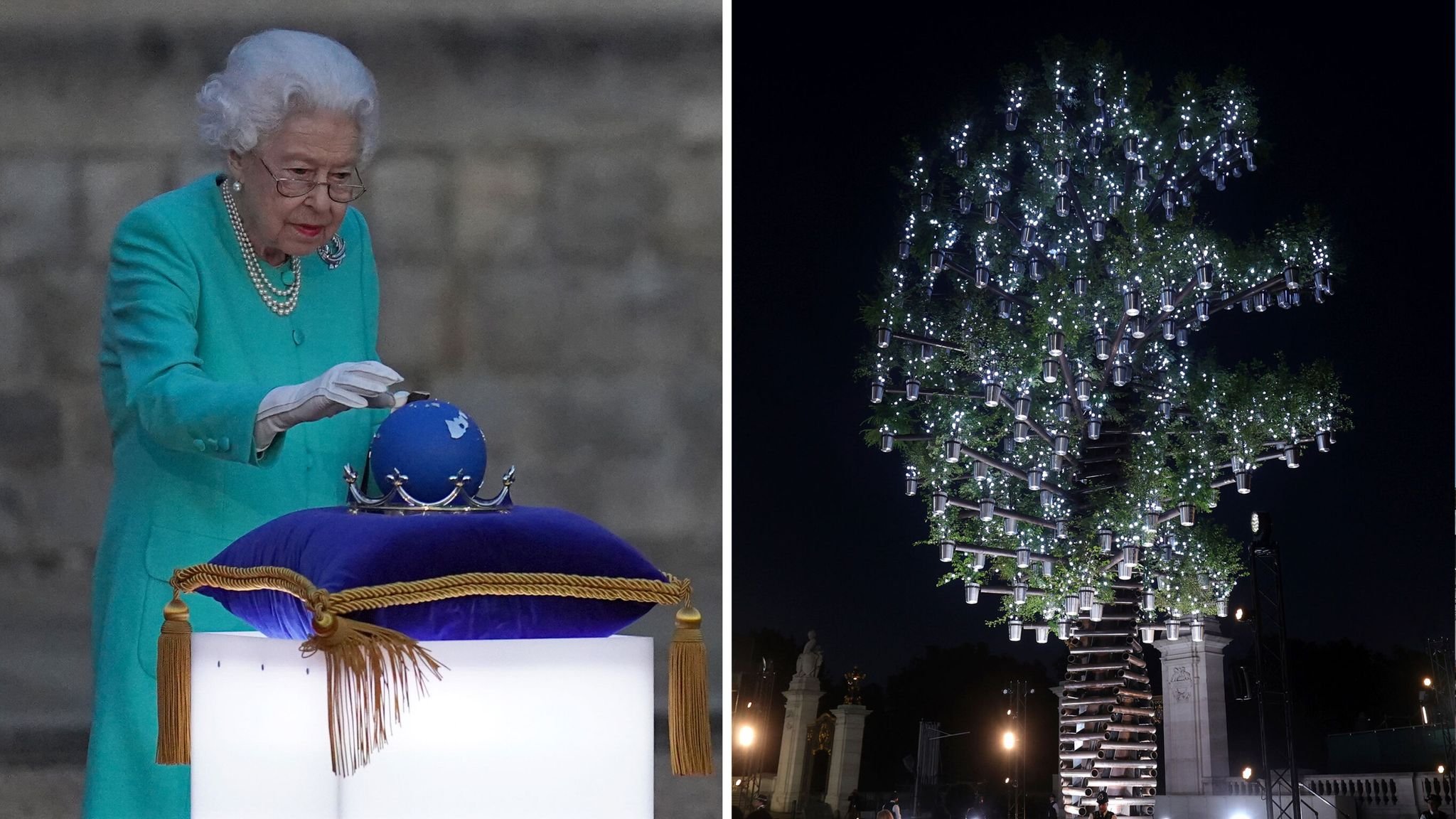 skynews-queen-tree-of-trees_5792887.jpg