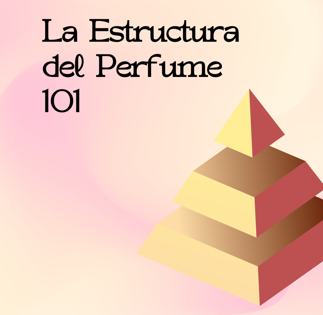 La Estructura del Perfume 101
