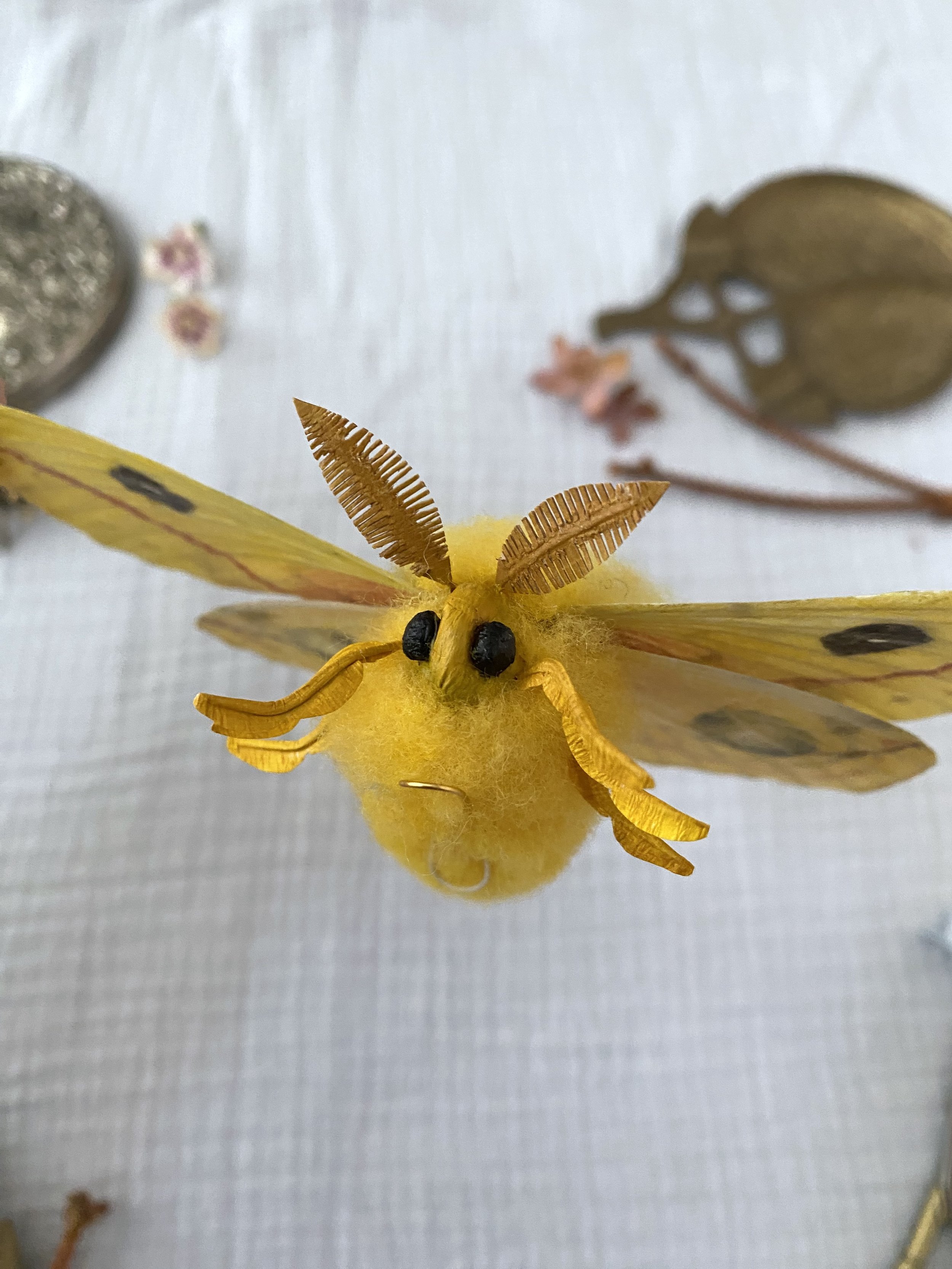 Male Io Moth Pre-Order Listing 3 #jessiechui.jpg