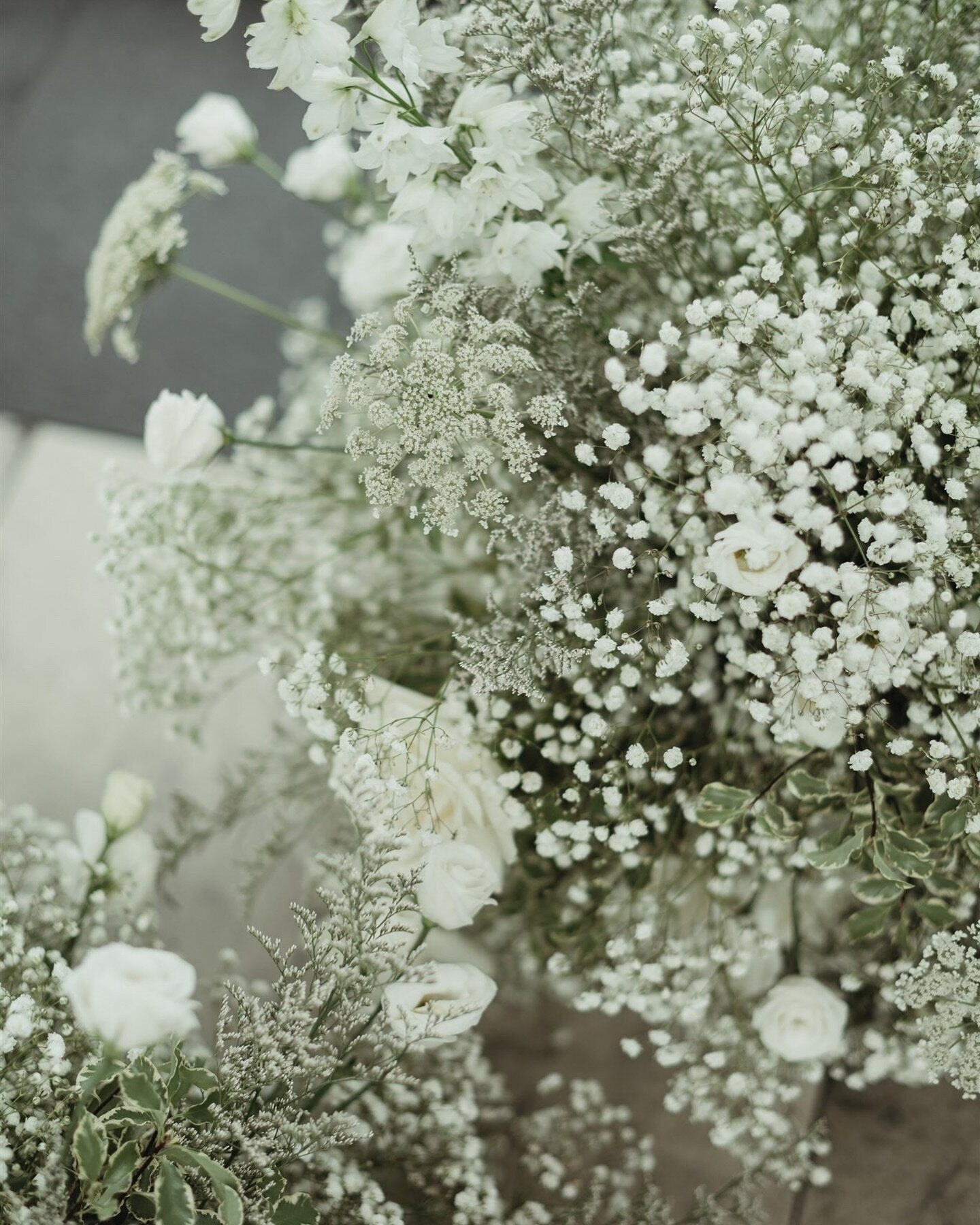 baby&rsquo;s breath &gt; bad breath