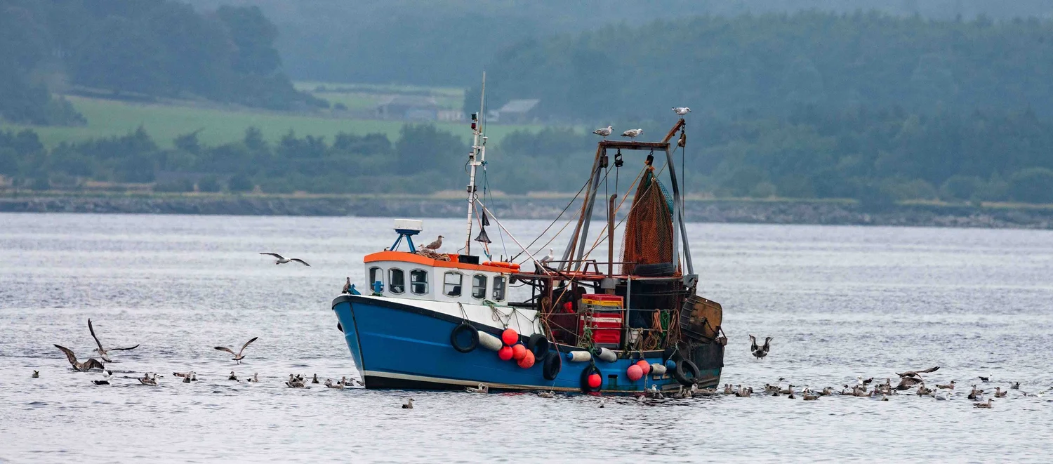 Oban: The Seafood Capital of Scotland — Airtask Group
