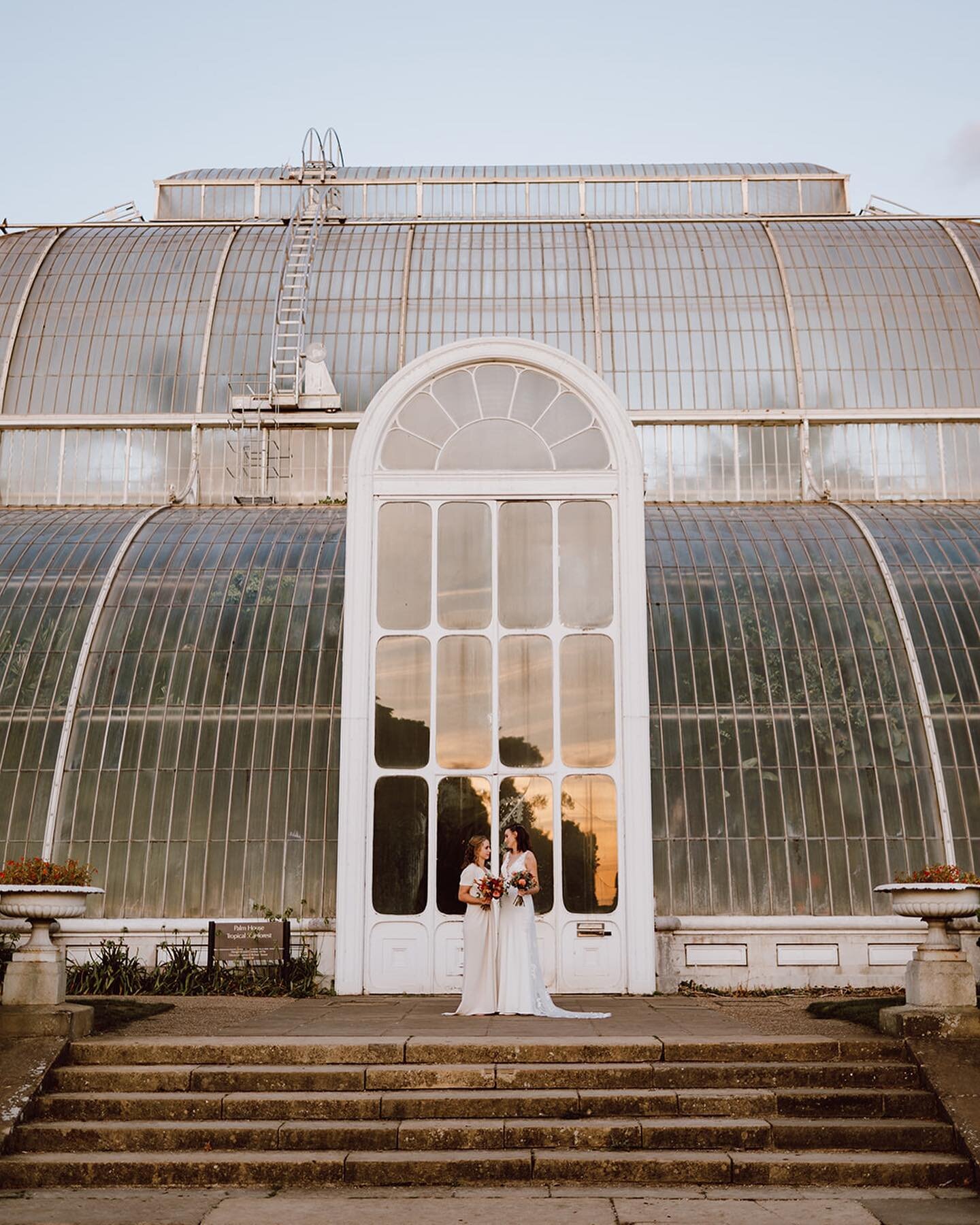 Golden hour moments with Georgia &amp; Alex at the Palm House, Kew Gardens. 

This will always be one of my favourite places to visit when photographing your @kewevents wedding. 

@kewgardens 
@maryjanevaughan 
@createfoodweddings 
@oxygen_events 
@p