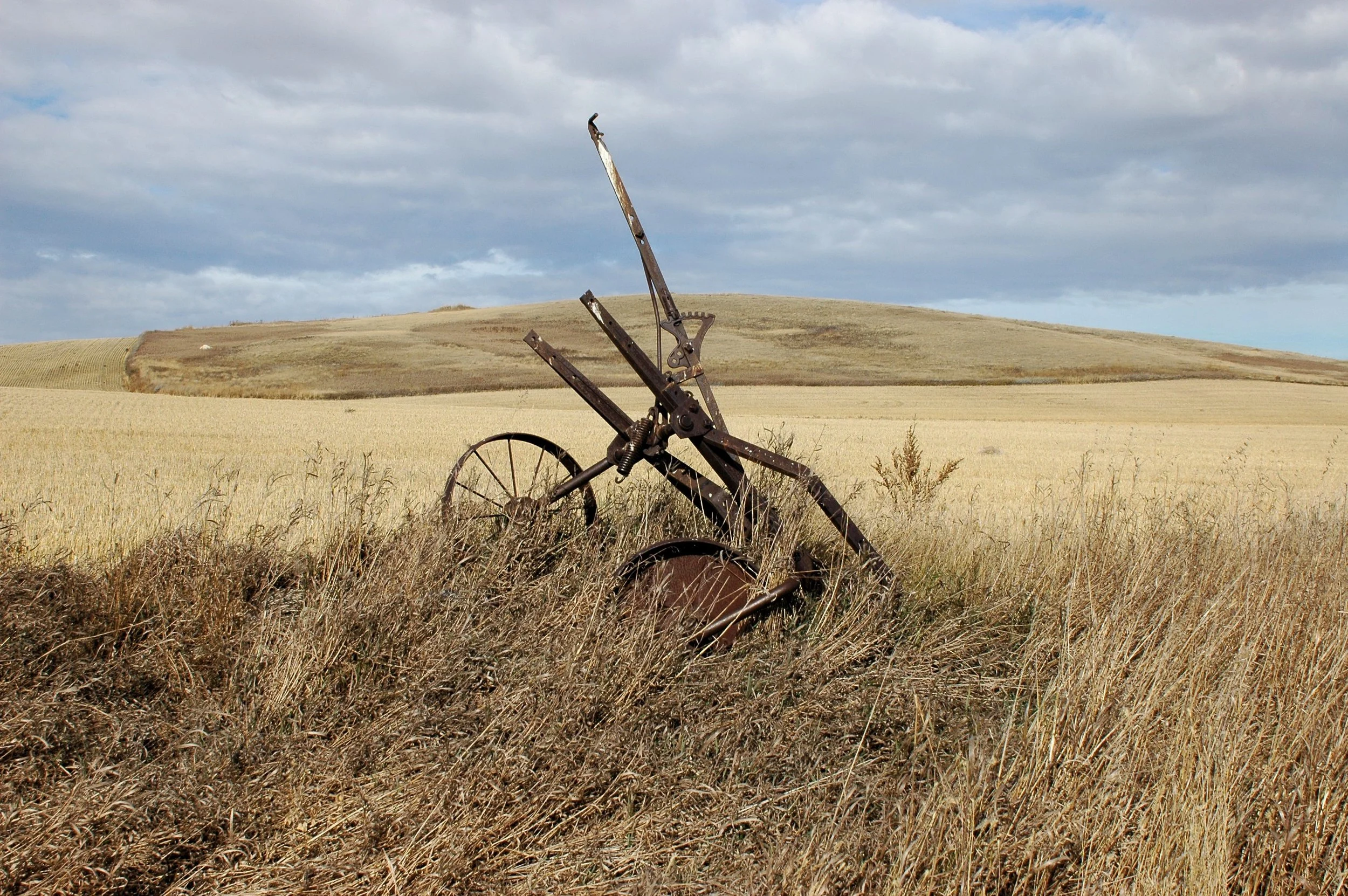 FAQs — Little Brownies Kennel