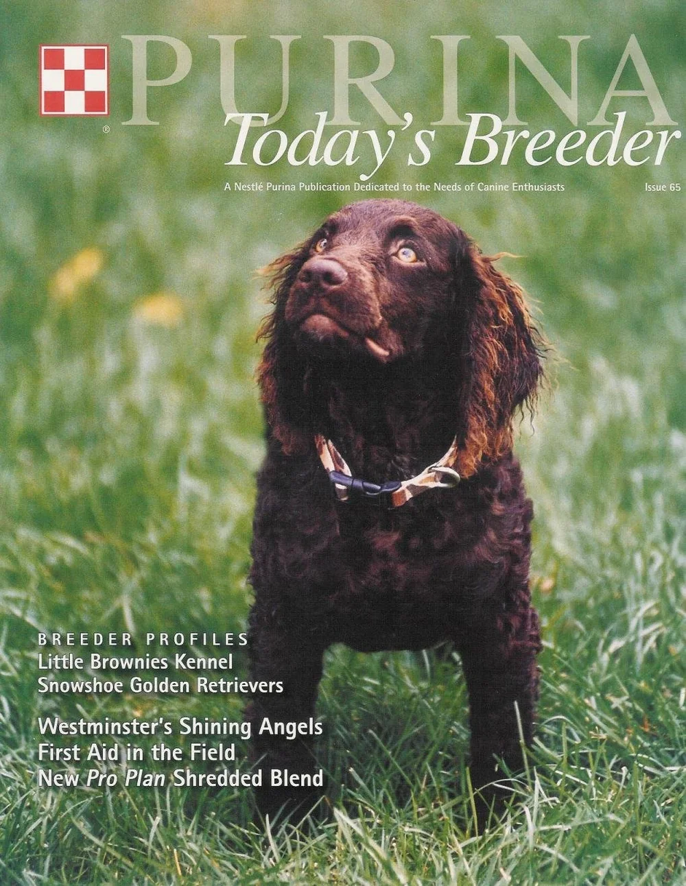 Other Info — Little Brownies Kennel American Water Spaniels
