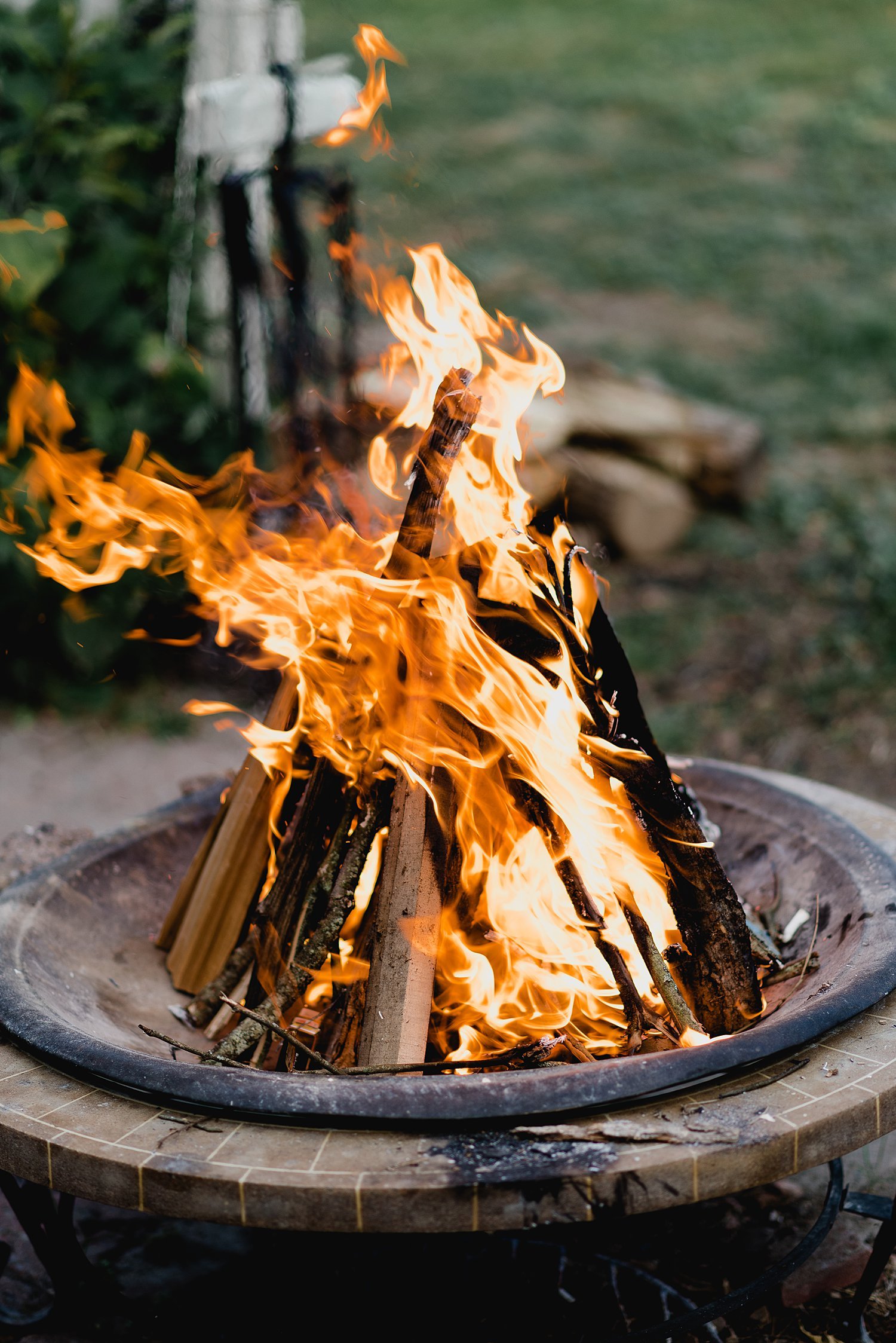 An Intimate Elopement at an Airbnb in Prince Edward County | Prince Edward County Wedding Photographer | Holly McMurter Photographs_0060.jpg