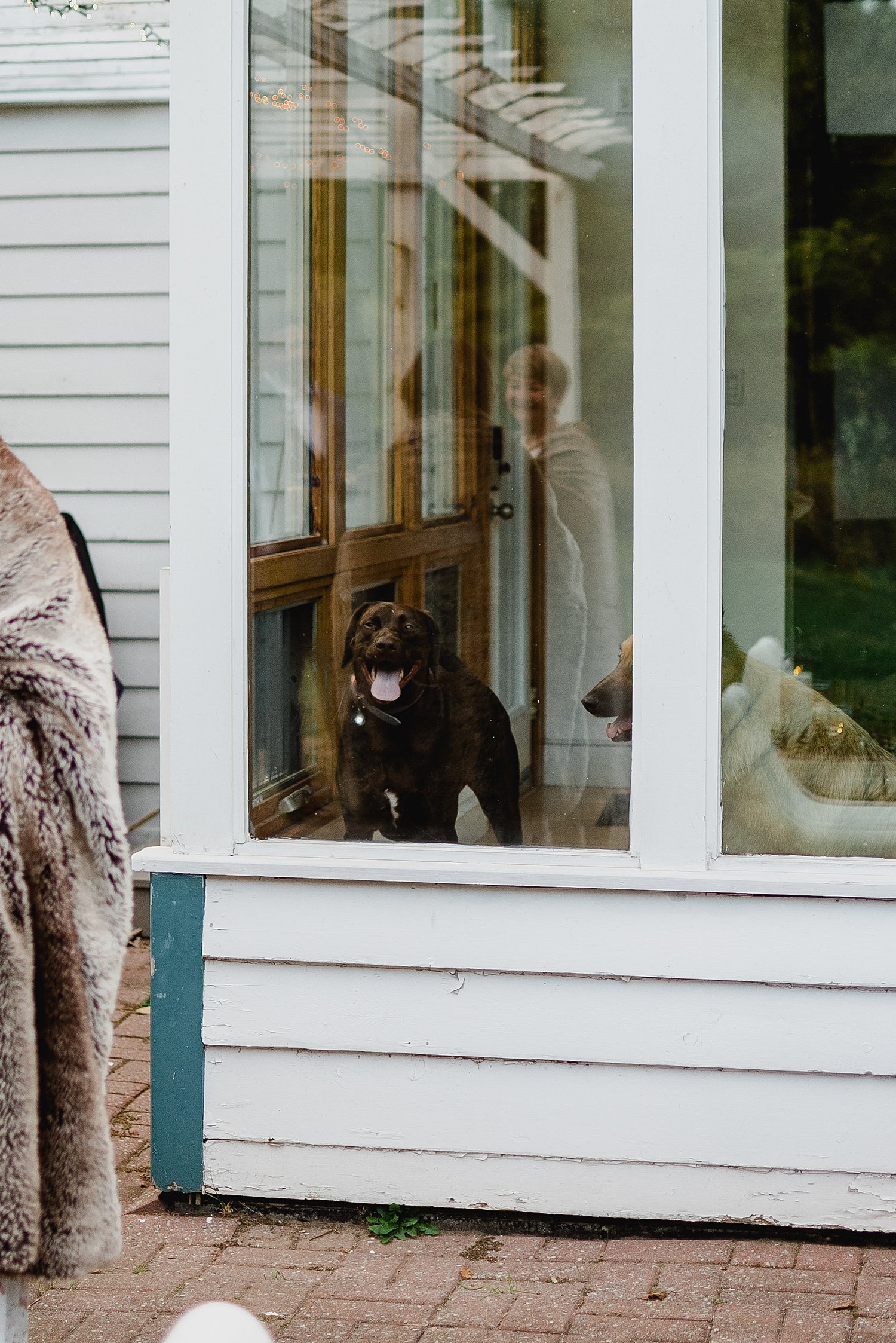 An Intimate Elopement at an Airbnb in Prince Edward County | Prince Edward County Wedding Photographer | Holly McMurter Photographs_0062.jpg