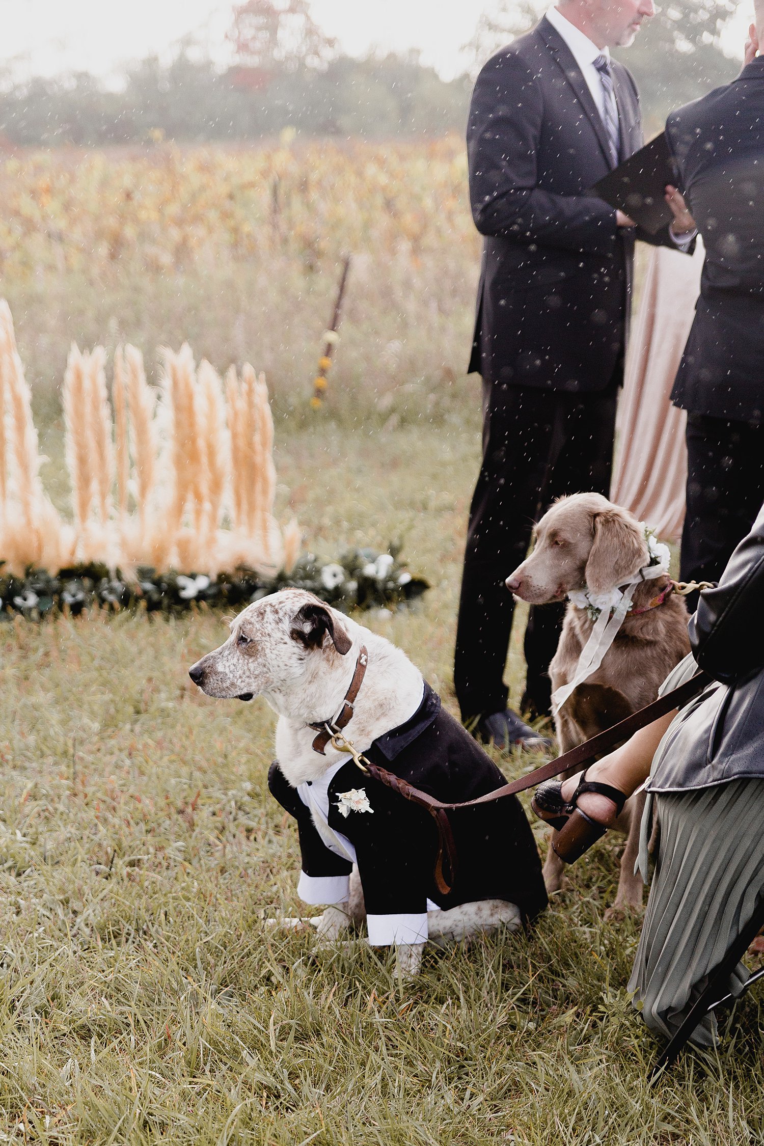 A Rainy Fall Wedding at Old Third Winery | Prince Edward County Wedding Photographer | Holly McMurter Photographs_0078.jpg
