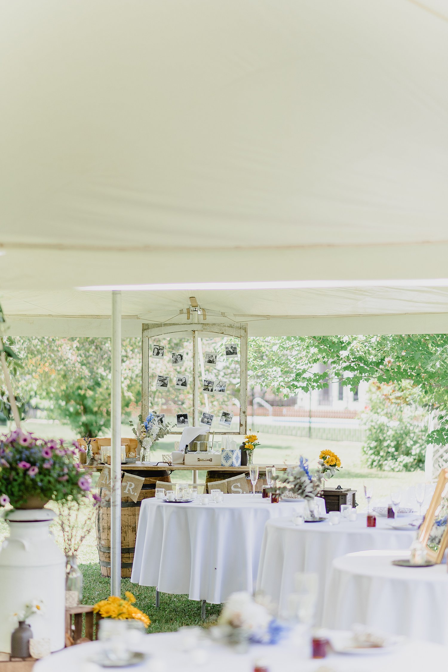 Elegant Summer Backyard Tented Wedding in Sydenham, Ontario | Prince Edward County Wedding Photographer | Holly McMurter Photographs_0034.jpg