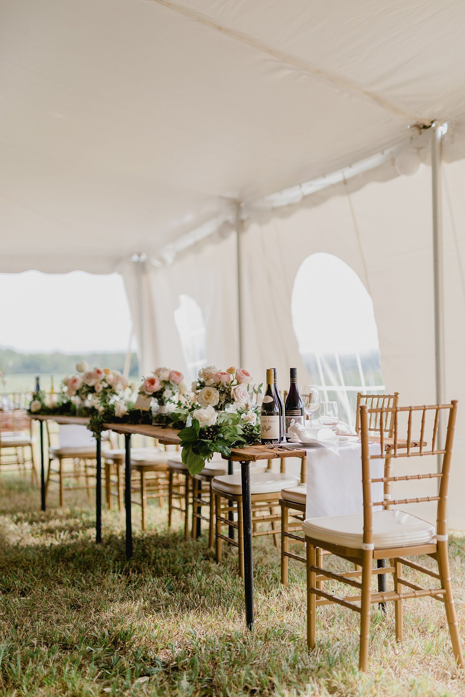 Large Wedding at The Old Third Winery | Prince Edward County Wedding Photographer | Holly McMurter Photographs_0118.jpg
